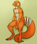 2017 accessory anthro bandage bandaged_tail countershade_face countershade_neck countershade_torso countershading erection gecko genitals hi_res humanoid_genitalia humanoid_penis lizard male male_anthro markings mintyderg nude nude_anthro nude_male orange_body penis penis_accessory penis_bow penis_ribbon pink_penis reptile ribbons scalie simple_background sitting solo spots spotted_body sunny_(geckoecho) tan_body tan_penis