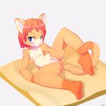  2015 anus blue_eyes blush cat feline kaitou looking_at_viewer mammal nude plain_background presenting presenting_pussy pussy shadow solo spread_legs spreading tongue tongue_out white_background 