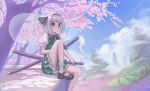  1girl absurdres black_bow black_bowtie black_hairband black_shoes bow bowtie cherry_blossoms closed_mouth commentary_request falling_petals frilled_skirt frills green_skirt green_vest grey_hair hairband highres hitodama hitodama_print katana konpaku_youmu konpaku_youmu_(ghost) mary_janes medium_hair outdoors partial_commentary petals pink_petals puffy_short_sleeves puffy_sleeves sheath sheathed shirt shoes short_sleeves sitting skirt skirt_set smile socks solo sword toorooo touhou vest weapon white_shirt white_socks 