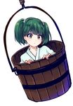  bucket green_eyes green_hair hair_bobbles hair_ornament in_bucket in_container kisume short_hair solo touhou twintails uranaishi_(miraura) wooden_bucket 