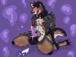 alloure_(_allourian) animal_genitalia animal_penis anthro balls blush bodily_fluids brown_body brown_fur canid canine canine_genitalia canine_penis claws cum dark_body dark_fur drooling fur genital_fluids genitals grey_body grey_fur hair hi_res knot knotting leg_grab male male_penetrating mammal masturbation nipples nude open_mouth penetration penis purple_claws purple_nipples purple_toy saliva sex_toy shaded simple_background simple_shading sitting smile solo spazlovesdew tail tongue tongue_out toy