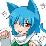  ;p animal_ears blue_hair blush cat_day cat_ears cat_tail commentary_request katsumi5o looking_at_viewer one_eye_closed paw_pose paw_print red_eyes solo tail tatara_kogasa tongue tongue_out touhou upper_body 