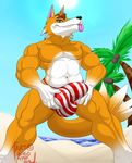  abs animal_crossing anthro ball_grab balls barazoku beach biceps big_balls big_penis brown_fur bulge canine chief_(animal_crossing) clothed clothing fur hair half-dressed hungothenomster male mammal manly muscles navel nintendo outside pecs penis seaside sharp_teeth smile solo speedo spread_legs spreading standing swimsuit teeth thick_thighs tongue tongue_out topless video_games white_fur wolf 