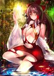  bad_id bad_pixiv_id bare_shoulders blush bow breasts brown_eyes brown_hair detached_sleeves dress hair_bow hair_tubes hakurei_reimu highres large_breasts long_hair long_sleeves looking_at_viewer no_bra red_dress rinaka_moruchi solo torn_clothes torn_dress touhou underboob water wavy_mouth wide_sleeves 