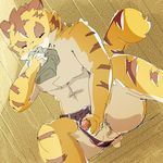  anthro big_muscles clothing erection eyes_closed feline fur mammal masturbation morenatsu muscles penis sniffing swimsuit tiger torahiko_ooshima underwear undressed 