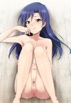  anus ass barefoot blue_hair blush breasts brown_eyes highres idolmaster idolmaster_(classic) kaiga kisaragi_chihaya knees_on_chest knees_together_feet_apart legs_up long_hair long_legs lying navel nude on_back pubic_hair pussy small_breasts solo sweat uncensored 