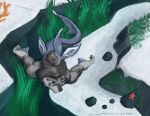 absurd_res anthozoan aquatic asterozoan black_hair blue_eyes canid canine canis cnidarian coral echinoderm fin fish frown fur fur_markings grey_body grey_fur hair hi_res kailun_setra male mammal markings merfolk rock sand scowl seaweed setriaphtfj shark split_form starfish swimming underwater water wolf