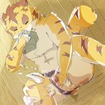  anthro big_muscles clothing cum erection eyes_closed feline fur mammal masturbation morenatsu muscles orgasm penis sniffing swimsuit tiger torahiko_ooshima underwear undressed 