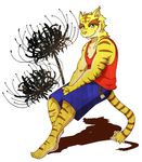  anthro big_muscles blue_eyes clothing feline flower fur mammal morenatsu muscles plain_background plant smile tiger torahiko_ooshima 