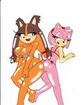  2015 amy_rose anthro badger big_breasts bikini breasts butt cleavage clothed clothing dreamcastzx duo female hedgehog mammal mustelid skimpy sonic_(series) sticks_the_jungle_badger swimsuit 