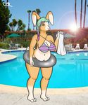  bikini chubby clothing deathlyinnocent female float lagomorph mammal pool_(disambiguation) rabbit solo swimsuit 
