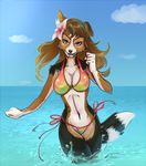  alanscampos bikini camel_toe canine clothed clothing collaboration dog female looking_at_viewer mammal skimpy solo swimsuit water wyla 