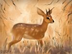  alexpahomov antelope black_eyes black_nose bovid brown_body brown_fur feral fur grass horn mammal markings plant quadruped raphicerus savanna solo standing steenbok stick tan_body tan_fur true_antelope white_markings 