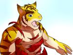  anthro big_muscles blue_eyes clothing feline mammal morenatsu muscles plain_background tiger torahiko_ooshima torn_clothing 