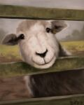  2022 alexpahomov black_eyes black_nose bovid caprine detailed detailed_fur domestic_sheep fence feral fur grass herdwick mammal mud plant quadruped shaded sheep solo white_body white_fur 