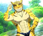  anthro big_muscles clothing eyes_closed feline mammal morenatsu muscles smile swimsuit tiger torahiko_ooshima 