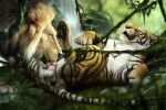 2017 animal_genitalia animal_penis anus arms_tied balls bdsm black_anus bondage bound colored countershade_torso countershading detailed detailed_background detailed_fur digital_media_(artwork) erection felid feline_genitalia feline_penis fellatio feral feral_on_feral fern fur genitals grass growltiger gwynfynifail hi_res jocarra legs_tied licking lion male male/male mammal mane multicolored_body multicolored_fur oral orange_body orange_fur outside outside_sex pantherine pawpads paws penile penis penis_lick plant realistic realistic_feral sex shaded shadow striped_body striped_fur stripes tail tan_body tan_fur teeth tiger tongue vine_bondage vines water waterfall whisker_spots whiskers white_body white_fur yellow_eyes