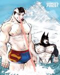 2026 5_fingers anthro batman batman_(series) black_body black_eyebrows black_fur blue_sky body_hair brown_hair bulge canid canine canis chest_hair clothed clothing cowl cowl_only dc_comics digital_media_(artwork) domestic_dog duo english_text eyebrows fingers floppy_ears fur hair hi_res laser laser_beam laser_vision looking_down male mammal mouth_closed muscular muscular_anthro muscular_male navel nipples one_eye_closed partially_submerged pecs pink_nipples ranfaketww redraw scar sitting sky snout snow standing superhero superman superman_(series) text underwear underwear_only water watermark white_body white_fur