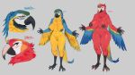 4_fingers 4_toes absurd_res anisodactyl anthro ara_(genus) areola avian avian_feet barbell_piercing beak big_breasts bird black_areola black_beak black_nipples blue-and-yellow_macaw blue_body blue_feathers blue_hair braided_hair breast_size_difference breasts curved_beak darkened_areola darkened_nipples diana_(sungerart) duo feathers feet female fingers genitals green_eyes hair hi_res huge_breasts isabella_(sungerart) macaw multiple_piercings navel navel_barbell navel_piercing neotropical_parrot nipple_barbell nipple_piercing nipples non-mammal_breasts nude nude_anthro nude_female parrot piercing red_body red_feathers scarlet_macaw standing sungerart talons tattoo thick_thighs toes true_parrot vulva winged_arms wings yellow_body yellow_eyes yellow_feathers
