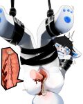 absurd_res anthro anus bdsm blood blood_in_pussy blush bodily_fluids bondage bound boxwater canid canine crying cum cum_in_vagina cum_inside disembodied_penis duo erection female forced genital_fluids genitals gore hi_res inside internal mammal penetration penile_spines penis rape sex solo_focus tears vaginal vaginal_penetration vulva