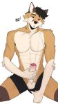 9:16 abs anthro balls black_hair blush bodily_fluids bork_buchwieser borkbuchwieser brown_body brown_eyes brown_fur canid canine canis cel_shading clothing cum cum_on_penis cumshot domestic_dog ejaculation erection foreskin fur genital_fluids genitals hair hi_res humanoid_genitalia male mammal masturbation motion_lines nude nude_anthro orgasm penis shaded shiba_inu simple_background solo spitz sweat underwear white_background