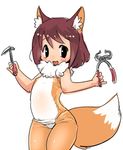  1boshi anthro canine fox fur human japanese kemono mammal tagme 