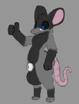 animal_genitalia anthro balls black_body black_fur black_sclera blue_eyes fur genitals grey_background grey_body grey_fur hi_res male mammal murid murine paws pink_tail rat rat_tail rodent round_ears sarek_aran_desian sheath simple_background tail