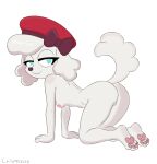 2026 3_fingers 4_toes aged_up all_fours anthro areola arm_support artist_name barefoot bedroom_eyes bent_legs beret beret_bow beret_only big_areola big_eyes big_iris biped blue_eyes bow_(feature) bow_hat breasts butt canid canine canis clothing clothing_bow crispynecro curved_tail digital_drawing_(artwork) digital_media_(artwork) domestic_dog extended_arms eyelashes feet female fingers floppy_ears forward_arm_support full-length_portrait fur genitals glistening glistening_areola glistening_eyes glistening_nipples hair half-closed_eyes hanging_breasts hat hat_only head_turned headgear headgear_only headwear headwear_only iris legs_together light_areola light_body light_fur light_hair light_nipples looking_at_viewer looking_back looking_back_at_viewer mammal marcie_beaucoup_(ajmarekart) monotone_background monotone_body monotone_fur monotone_hair monotone_tail mostly_nude mostly_nude_anthro mostly_nude_female mouth_closed murphy_and_mitzi narrowed_eyes nipples no_pupils pawpads pink_areola pink_nipples pink_pawpads plantigrade plantigrade_pawpads poodle portrait purple_nose red_beret red_bow red_clothing red_hat red_headwear round_eyes round_nose seductive short_hair simple_background sketch small_breasts smile smiling_at_viewer smirk smirking_at_viewer solo tail text thick_thighs three-quarter_view toes vulva white_background white_body white_breasts white_fur white_hair white_sclera white_tail