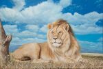 2015 acrylic_painting_(artwork) blue_sky cloud day felid feral fur grass grazianoroccatani lion lying male mammal mane on_grass on_ground orange_eyes painting_(artwork) pantherine plant quadruped savanna sky solo tan_body tan_fur tan_mane traditional_media_(artwork) traditional_painting_(artwork)