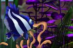  aquarium deb disney female finding_nemo findingdeb fish marine pixar tentacles water 