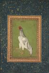 17th_century absurd_res ambiguous_feral ambiguous_gender ancient_art avian avian_caruncle avian_feet beak biped bipedal_feral bird chicken comb_(anatomy) dewlap_(anatomy) feathered_wings feathers feral galliform head_crest hi_res huge_filesize markings painting_(artwork) persian_text phasianid public_domain raised_foot scuted_feet scutes side_view simple_background solo spots spotted_body spotted_feathers standing tail tail_feathers text traditional_media_(artwork) traditional_painting_(artwork) translated unknown_artist wattle wings