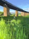  1boy absurdres arms_at_sides black_hair black_pants blue_sky cloud collared_shirt commentary_request day edam1474826 elevated_railway grass highres korean_commentary male_focus original outdoors pants scenery shade shirt short_hair short_sleeves sky solo standing tall_grass white_shirt wide_shot 