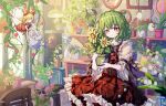  1girl blush brown_ribbon chinese_commentary closed_mouth collared_shirt commentary_request flower flower_pot frilled_skirt frills green_hair highres holding holding_flower_pot holding_watering_can kazami_yuuka lily_of_the_valley long_sleeves looking_at_viewer medium_hair monu_de_wuhui neck_ribbon pink_flower plaid_clothes plaid_skirt plant potted_plant purple_flower red_eyes red_skirt red_vest ribbon shirt skirt skirt_set smile solo su-san sunflower touhou vest watering_can white_flower white_shirt yellow_flower 