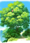  balloon blue_sky border bush clear_sky colorful commentary_request day grass hariken highres no_humans original outdoors path plant plant_focus real_world_location scenery shadow sky summer tree white_border 