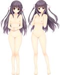 barefoot black_hair breasts full_body hands_on_own_chest hands_together highres iizuki_tasuku lil_coulier navel no_pussy nude open_mouth red_eyes seikishi_melty_lovers small_breasts solo standing transparent_background two_side_up 