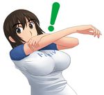  1girl ayase_fuuka black_eyes black_hair breasts brown_hair eyebrows large_breasts md5_mismatch otogi_tetsurou pixiv raglan_sleeves shirt solo taut_clothes taut_shirt thick_eyebrows yotsubato! 