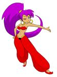  1girl blue_eyes breasts cleavage dark_skin earrings jewelry looking_at_viewer navel ponytail purple_hair shantae shantae_(character) simple_background smile 