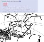  4chan angry arachnid arthropod computer english_text solo spider text 