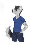  canine male mammal scoot wolf zombitrix 