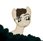  avatar dekujunge equine hidden horse mammal my_little_pony pony 