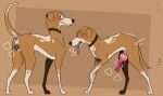 anatomically_correct anatomically_correct_genitalia anatomically_correct_penis anatomically_correct_vulva animal_genitalia animal_penis animal_vulva anus blush brown_body brown_fur canid canine canine_genitalia canine_penis canine_vulva canis digitigrade domestic_dog duo erection female feral floppy_ears fur genitals hi_res hunting_dog knot knotted_penis looking_at_viewer looking_back looking_back_at_viewer male mammal penis quadruped sighthound tail throbbing throbbing_penis tongue tongue_out vulva whippet yaldabroth