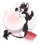 4_fingers 4_toes absurd_res anthro beverage blush body_blush chibichuuwu coca-cola diesel_(dieselderg) dragon dutch_angel_dragon feet fingers floating fur furred_dragon furred_scalie hand_on_belly hi_res hose hose_inflation inflated_belly inflation male mythological_creature mythological_scalie mythology scalie soda soda_inflation solo toes