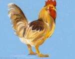 art_academy_(artwork) avian avian_caruncle beak bird brown_body brown_feathers chicken comb_(anatomy) dewlap_(anatomy) digital_media_(artwork) feathers feet feral galliform grey_body grey_feathers head_crest lunarpanda8686 male nintendo nintendo_ds nintendo_ds_family orange_body orange_feathers orange_feet phasianid simple_background tail wattle wings