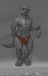 anthro artist_logo bulge claws clothed clothing detailed_bulge eyewear front_view full-length_portrait goggles laser_(artist) logo male male_anthro mammal mouth_closed mustelid navel nipples otter partially_colored pecs portrait solo standing swimming_goggles tail text toe_claws topless url water