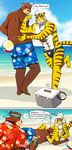  anthro beach beach_ball bear bearlovestiger13 biceps chest_tuft clothing feline fur juuichi_mikazuki male mammal morenatsu muscles nipples pecs seaside shocked swimsuit tiger torahiko_ooshima tuft 