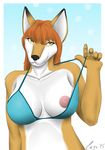  2015 alice_(cayo) anthro areola black_nose bra breasts canine cayo clothing dog female green_eyes hair looking_at_viewer mammal nipples orange_hair smile solo underwear 