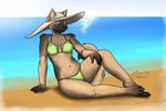  2015 anthro arm_support beach bikini black_nose blue_eyes brown_fur c4camel canine cayo cleavage clothed clothing dog female fur german_shepherd hat looking_at_viewer mammal navel navel_piercing piercing seaside sitting smile solo swimsuit 