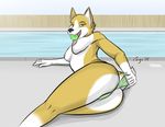  2015 anthro ball breasts butt canine cayo clothing corgi dog female fur lying mammal nipples on_side pool_(disambiguation) solo tan_fur underwear wedgie white_fur 
