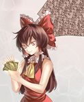  ascot bare_arms bow brown_eyes brown_hair dress eredhen hair_bow hair_tubes hakurei_reimu long_hair money no_detached_sleeves red_dress sleeveless sleeveless_dress smile solo symbol-shaped_pupils touhou translated yen_sign 