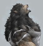  biceps big_muscles canine captainjohkid clothing fangs flakjacket0204 fur grey_fur growth human male mammal muscle_growth muscles open_mouth pecs plain_background shirt solo teeth toned torn_clothing transformation were werewolf white_background 